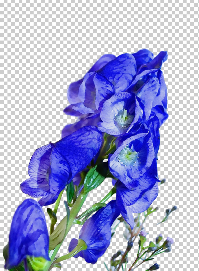 Blue Rose PNG, Clipart, Blue, Bluebonnet, Blue Rose, Cobalt, Cobalt Blue Free PNG Download