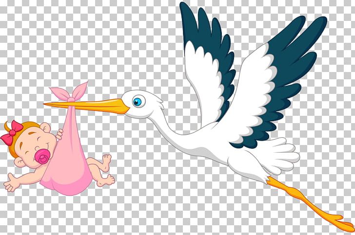 Infant PNG, Clipart, Art, Beak, Bird, Cartoon, Computer Wallpaper Free PNG Download
