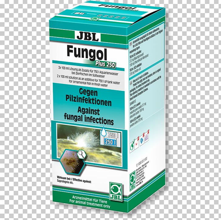 Infection Fungus Mycosis Pharmaceutical Drug Fish PNG, Clipart, 1940s, Animals, Aquarium, Disease, Fish Free PNG Download