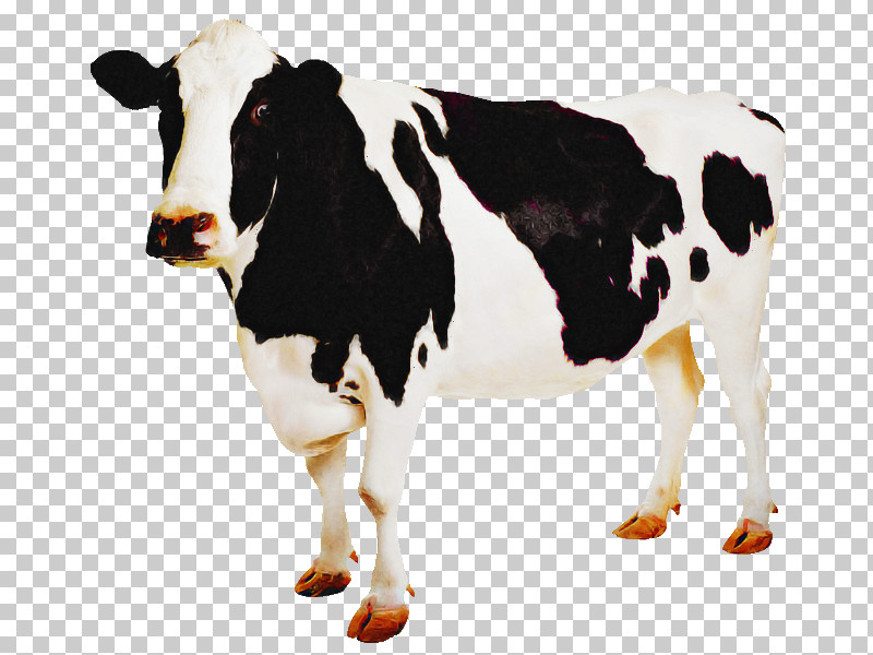 Dairy Cow Bovine Cow-goat Family Livestock Animal Figure PNG, Clipart, Animal Figure, Bovine, Bull, Cowgoat Family, Dairy Free PNG Download