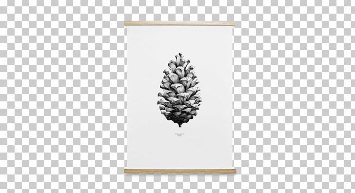 Poster Conifer Cone Coulter Pine Art PNG, Clipart, Art, Black And White, Collective, Cone, Conifer Cone Free PNG Download