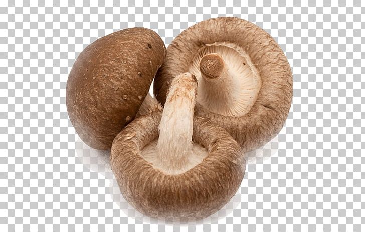 Shiitake Fungus Mushroom Food Medicinal Fungi PNG, Clipart, Cholesterol, Citrus, Crop, Document, Edible Mushroom Free PNG Download