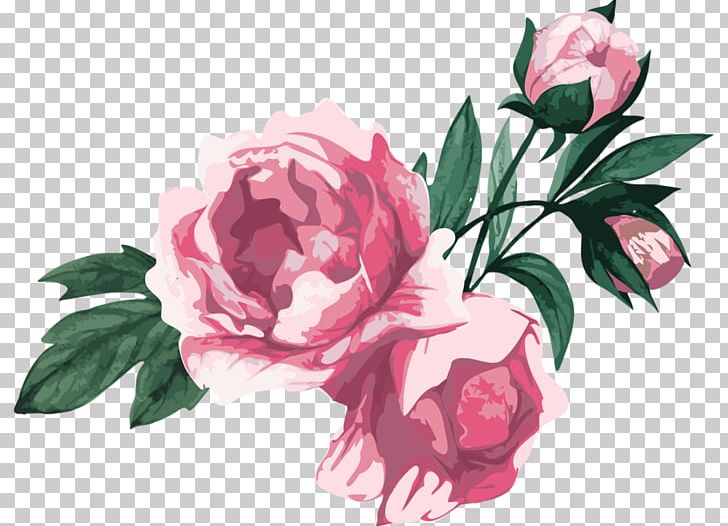 Garden Roses Centifolia Roses Floribunda Cut Flowers PNG, Clipart, Artificial Flower, Centifolia Roses, Floral Design, Floristry, Flower Free PNG Download