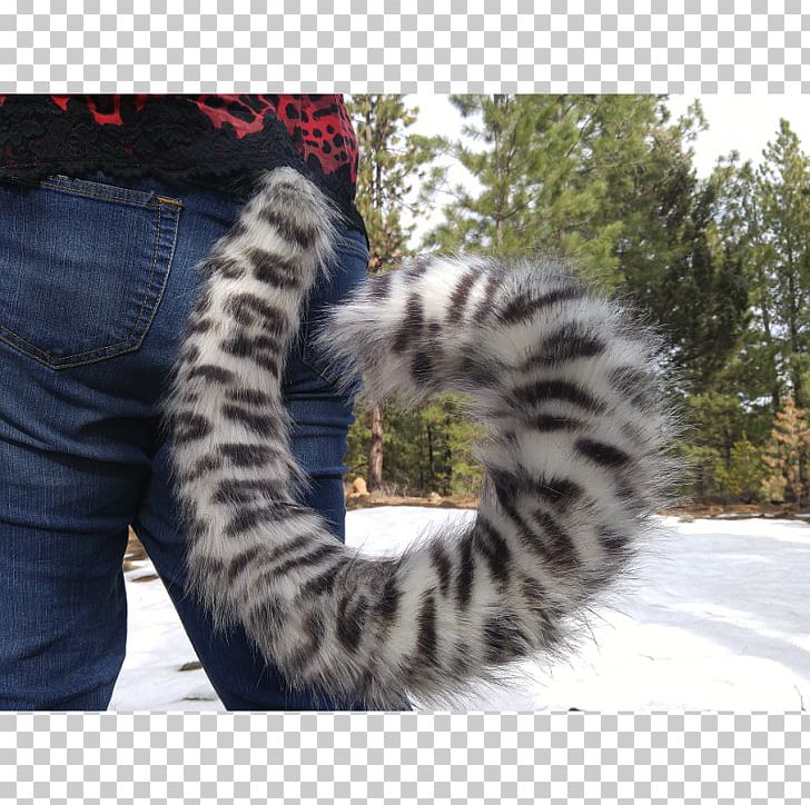 Cat Felidae Leopard Tail Furry Fandom PNG, Clipart, Animals, Big Cat, Big Cats, Cat, Cat Like Mammal Free PNG Download