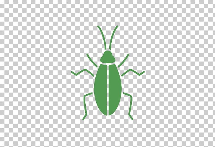 German Cockroach Pro Pacific Pest Control PNG, Clipart, Amphibian, Animals, Artwork, Cockroach, Computer Icons Free PNG Download