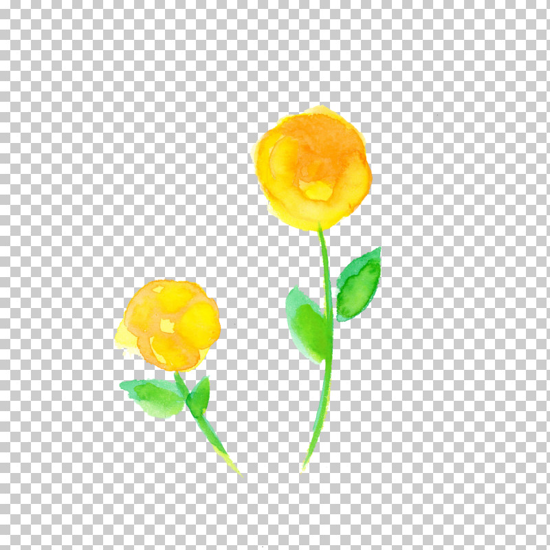 Yellow Flower Plant Petal Tulip PNG, Clipart, Cut Flowers, Flower, Pedicel, Petal, Plant Free PNG Download