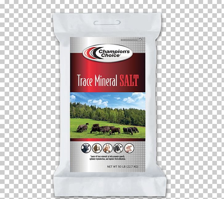 Dietary Supplement Mineral Lick Salt Trace Element PNG, Clipart, Beef, Cattle, Cattle Feeding, Chemical Element, Dietary Supplement Free PNG Download