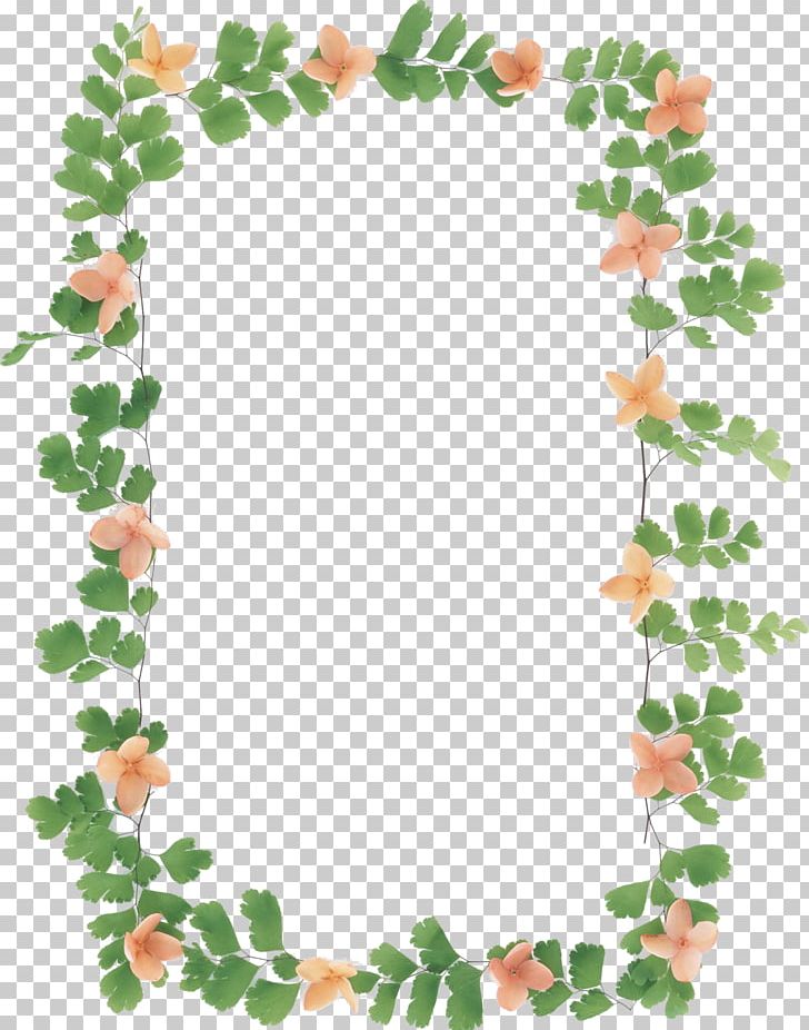 Flower Photography No Frames PNG, Clipart, Beach Rose, Border, Cut Flowers, Download, Flora Free PNG Download