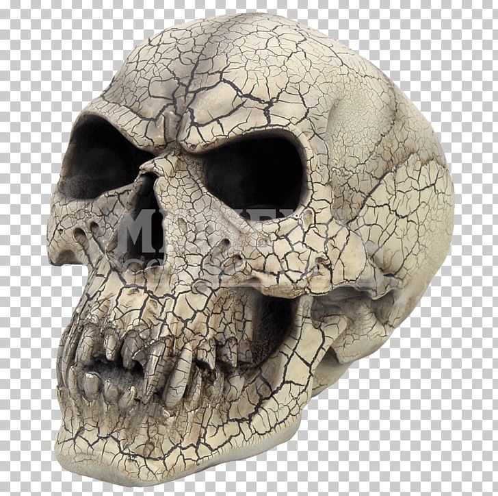 Skull Vampire Human Skeleton Gothic Fashion Head PNG, Clipart, Bone, Crystal Skull, Eye, Fang, Fantasy Free PNG Download