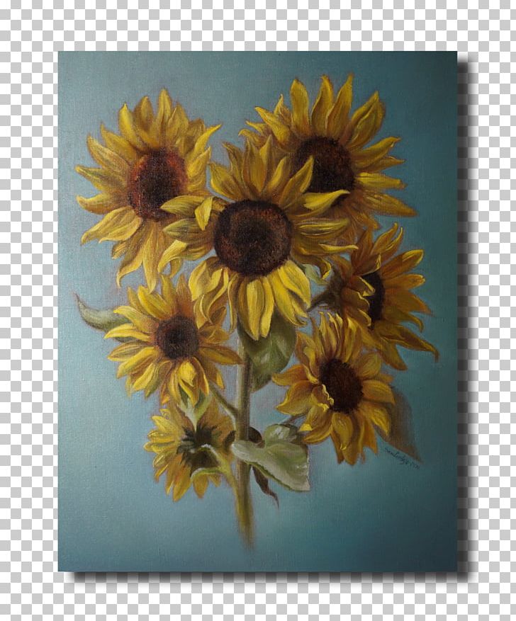 Common Sunflower Sunflower Seed Still Life Photography PNG, Clipart, Common Daisy, Common Sunflower, Cut Flowers, Daisy Family, Flower Free PNG Download
