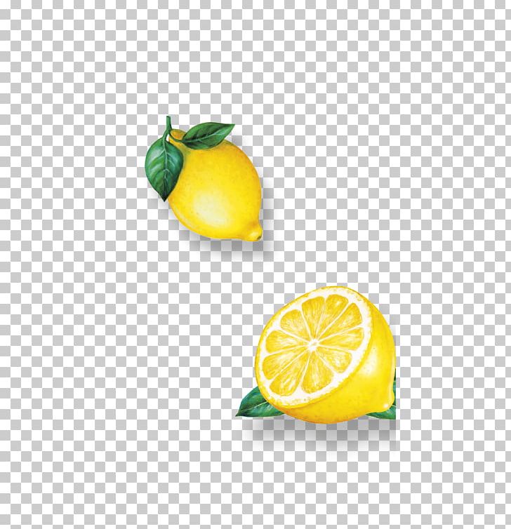 Lemon Key Lime Persian Lime Vegetarian Cuisine PNG, Clipart, Citric Acid, Citron, Citrus, Citrus Junos, Food Free PNG Download