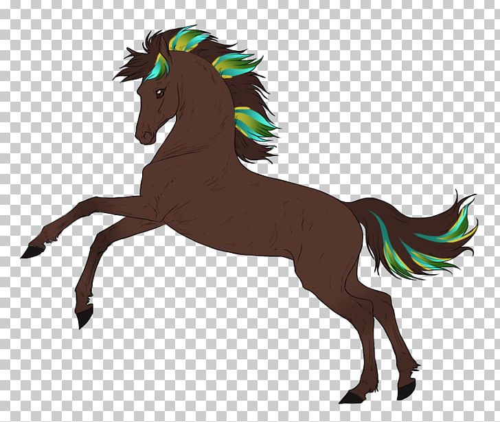 Mane Pony Foal Mustang Stallion PNG, Clipart,  Free PNG Download