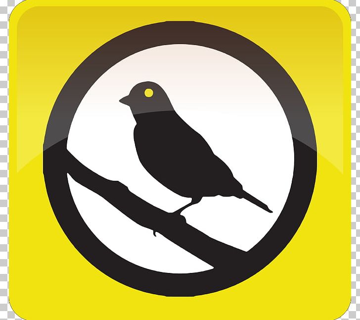 Warrant Canary Domestic Canary National Security Letter Electronic Frontier Foundation PNG, Clipart, Beak, Bird, Bitfinex, Court, Domestic Canary Free PNG Download