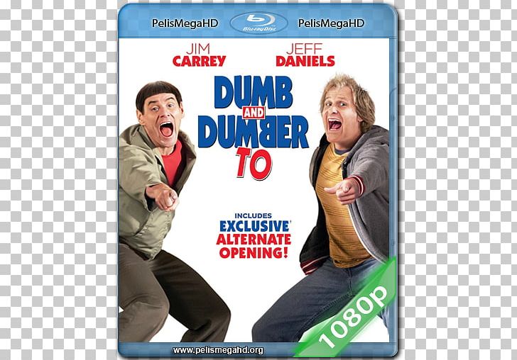 Blu-ray Disc Dumb And Dumber Digital Copy UltraViolet DVD PNG, Clipart, Advertising, Bluray Disc, Comedy, Digital Copy, Dumb And Dumber Free PNG Download