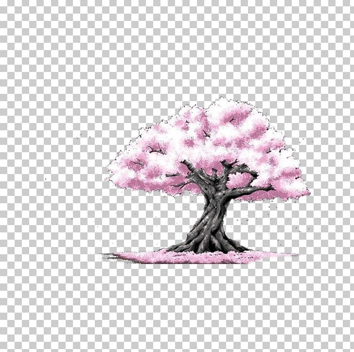 Cherry Blossom Tree Cerasus Drawing PNG, Clipart, Art, Beautiful, Blossom, Cerasus, Cherry Free PNG Download