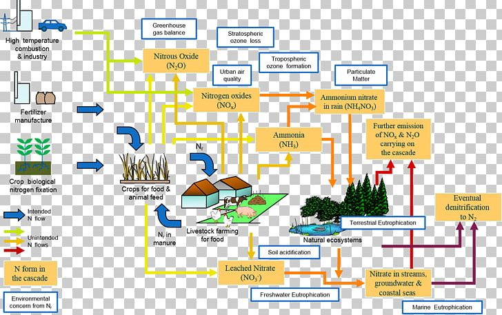 Nitrogen Cycle Ecosystem Reactive Nitrogen Ammonium Nitrate PNG, Clipart, Area, Atmosphere Of Earth, Cascade, Denitrifying Bacteria, Diagram Free PNG Download
