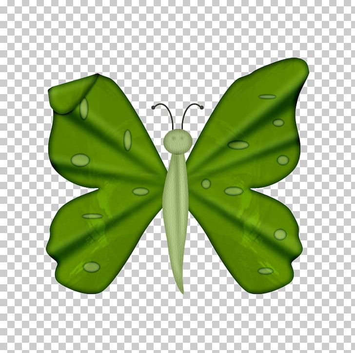 Nymphalidae Moth Pieridae Butterfly Drawing PNG, Clipart, Arthropod, Brush Footed Butterfly, Butterflies And Moths, Butterfly, Color Free PNG Download
