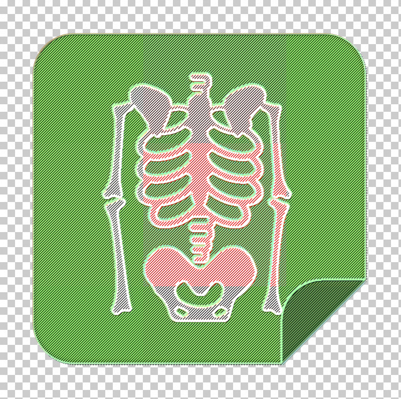 X Rays Icon Medical Elements Icon Skeleton Icon PNG, Clipart, Green, Human Anatomy, Medical Elements Icon, Pink, Skeleton Free PNG Download