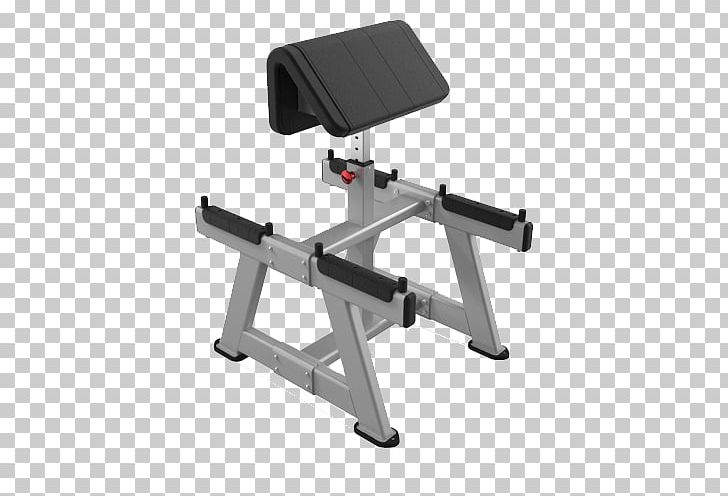 Bench Biceps Curl Exercise Physical Fitness Strength Training PNG, Clipart, Angle, Barbell, Bench, Biceps, Biceps Curl Free PNG Download