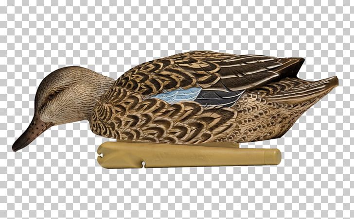 Mallard Duck Decoy Texas Rig PNG, Clipart, Animals, Avian, Avian Influenza, Beak, Bird Free PNG Download