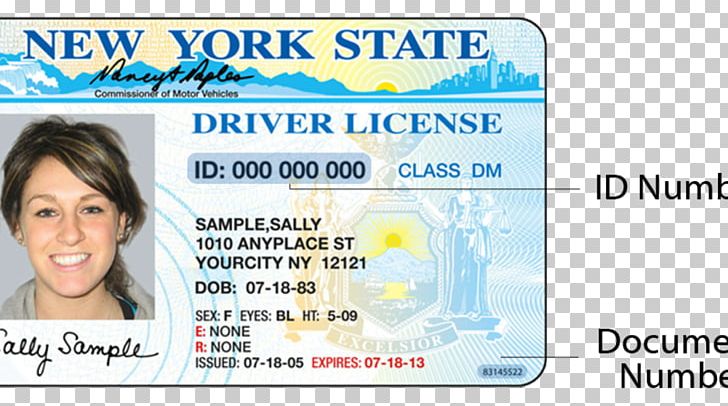 New York Identity Document Driver's License Department Of Motor Vehicles Driving PNG, Clipart, Department Of Motor Vehicles, Driving, Identity Document, New York Free PNG Download