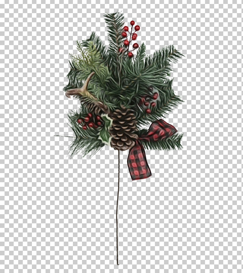 Christmas Decoration PNG, Clipart, Branch, Christmas, Christmas Decoration, Colorado Spruce, Conifer Free PNG Download