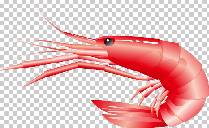 Beer Lobster PNG, Clipart, Animals, Balloon Cartoon, Beer, Beer Bottle, Boy Cartoon Free PNG Download