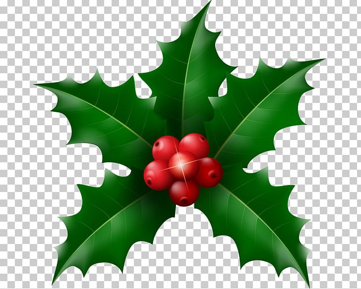 Desktop Christmas Drawing PNG, Clipart, Aquifoliaceae, Aquifoliales, Art, Art Museum, Christmas Free PNG Download