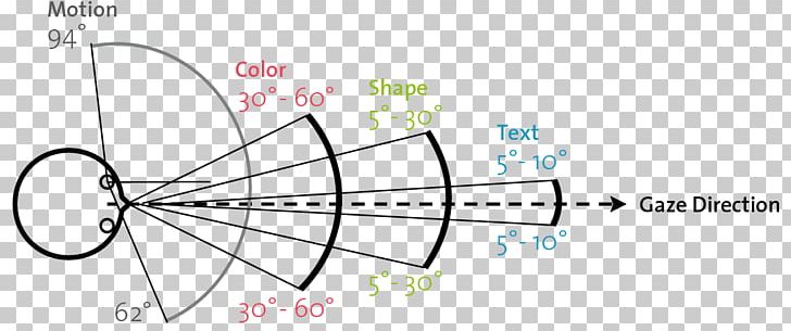 Field Of View Visual Perception Peripheral Vision Visual Field Homo Sapiens PNG, Clipart, Angle, Angle Of View, Area, Bicycle Part, Bicycle Wheel Free PNG Download