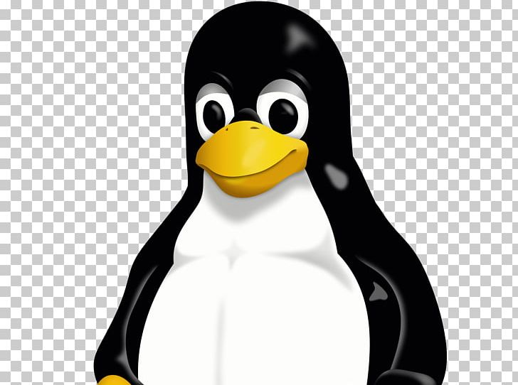 Linux Foundation Tux Ubuntu Operating Systems PNG, Clipart, Android, Ansible, Arch Linux, Beak, Bird Free PNG Download