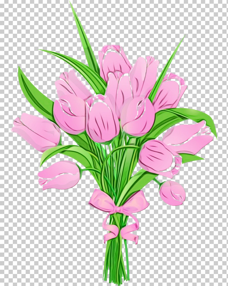 Flower Plant Cut Flowers Pink Bouquet PNG, Clipart, Bouquet, Cut Flowers, Flower, Paint, Petal Free PNG Download