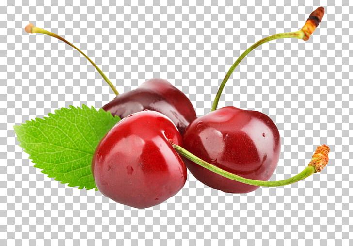 Cherry Cerasus Frutti Di Bosco PNG, Clipart, Berry, Blossoms Cherry, Cerasus, Cherries, Cherry Free PNG Download
