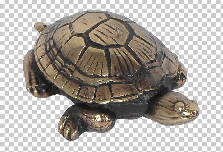 Box Turtles Tortoise Snapping Turtles Metal PNG, Clipart, Animal, Box Turtle, Box Turtles, Chelydridae, Emydidae Free PNG Download