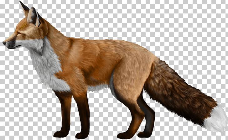 Domesticated Red Fox Silver Fox PNG, Clipart, American, Animals, Canidae, Carnivoran, Computer Icon Free PNG Download