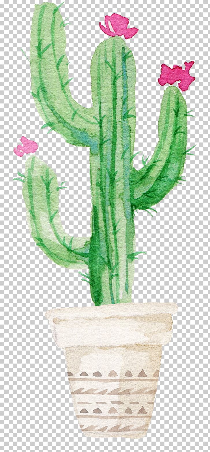Cacti And Succulents Cacti & Succulents Cactus Watercolor Painting Succulent Plant PNG, Clipart, Cactaceae, Cacti And Succulents, Cacti Succulents, Canvas, Canvas Print Free PNG Download