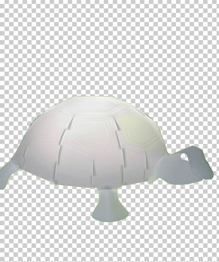 Turtle Lamp .de Northern Giraffe Zoo PNG, Clipart, Animals, Cat, Dostawa, Electric Light, Elephant Free PNG Download