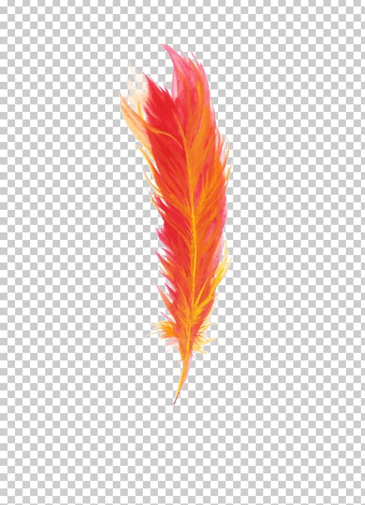 Feather Red PNG, Clipart, Adobe Illustrator, Animals, Download, Encapsulated Postscript, Euclidean Vector Free PNG Download