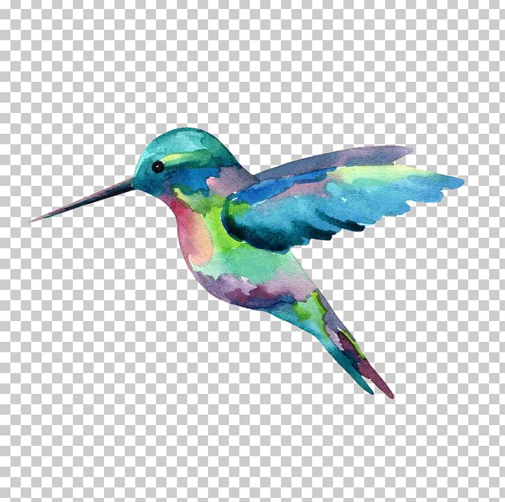 Hummingbird Watercolor Painting PNG, Clipart, Art, Artist, Beak, Bird, Color Free PNG Download