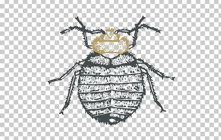 Insect Servcontrol Pest Bedbug Bed Bug PNG, Clipart, Animals, Art, Arthropod, Bed, Bed Bug Free PNG Download
