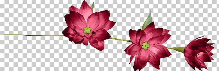 Ribbon Lazo Flower PNG, Clipart, Amaryllis Family, Askartelu, Button, Cut Flowers, Evaluation Free PNG Download