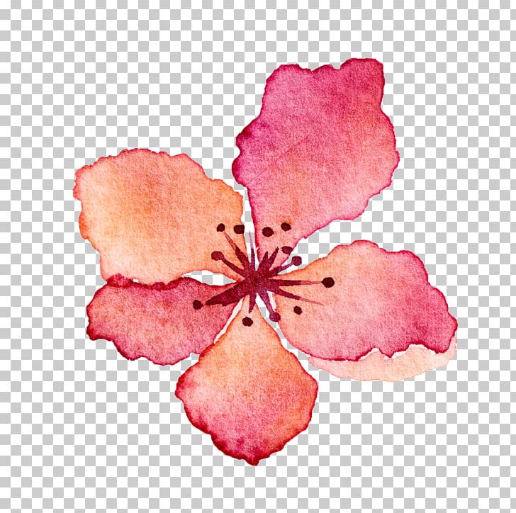 Watercolor Painting Flower Petal PNG, Clipart, Designer, Download, Floral Design, Flower, Flowering Plant Free PNG Download