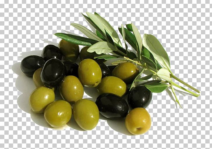 Arbequina Olive Oil Mediterranean Basin Fruit PNG, Clipart,  Free PNG Download