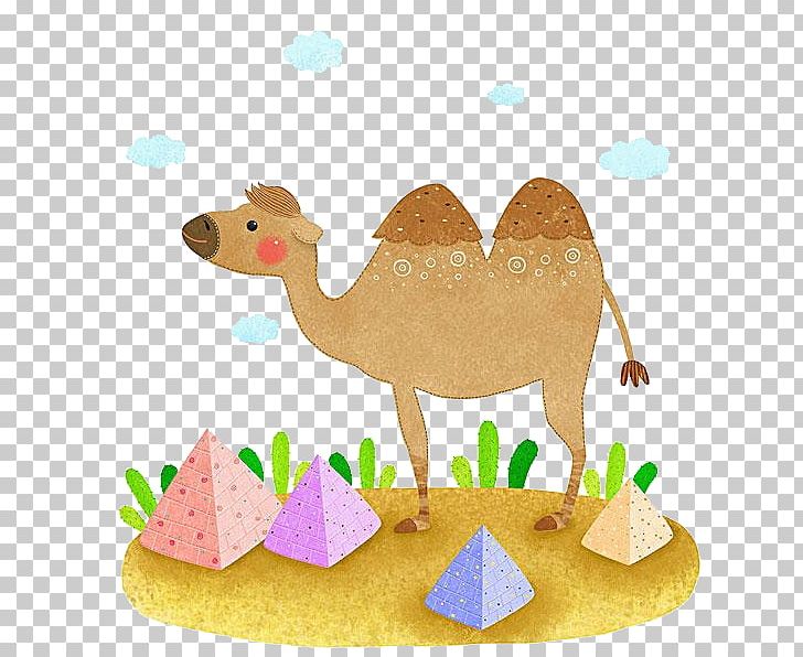 Camel Desert Drawing PNG, Clipart, Animal, Animals, Arabian Camel, Camel, Camel Like Mammal Free PNG Download