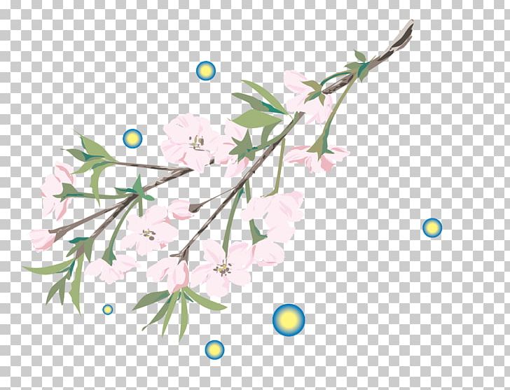 Medicinal Plants PNG, Clipart, Area, Branch, Branches, Circle, Element Free PNG Download