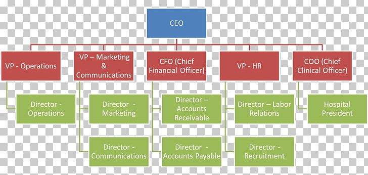 Organizational Chart Business Diagram PNG, Clipart, Accounting, Afacere, Brand, Business, Chart Free PNG Download