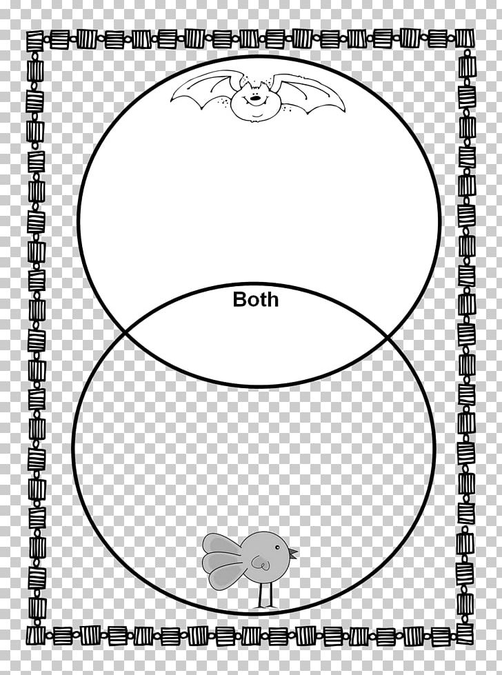 Stellaluna First Grade Bat Teacher Worksheet PNG, Clipart,  Free PNG Download