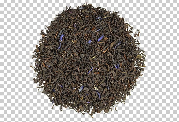 Earl Grey Tea Lapsang Souchong Oolong Green Tea PNG, Clipart,  Free PNG Download