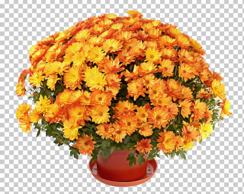 Orange PNG, Clipart, Bouquet, Cut Flowers, Flower, Flowerpot, Orange Free PNG Download