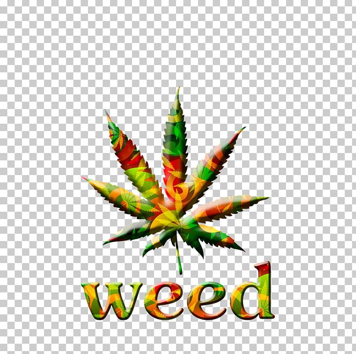Cannabis Decal Sticker Hash PNG, Clipart, 420 Day, Bright, Bumper Sticker, Cannabis, Cannabis Smoking Free PNG Download