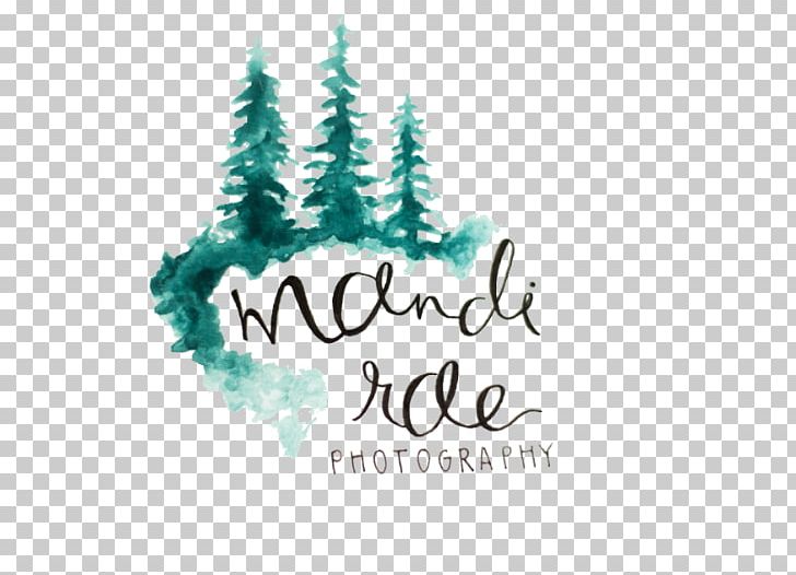 Christmas Tree Logo Turquoise Font PNG, Clipart, Aqua, Blue, Christmas, Christmas Ornament, Christmas Tree Free PNG Download